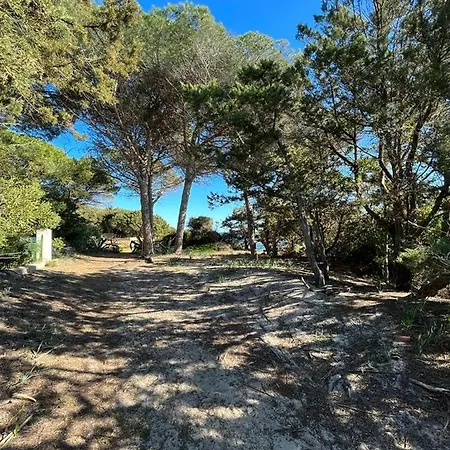 Apartment Da Zio Salvo, Esclusivo Con Veranda, A Due Passi Dal Mare! Orosei